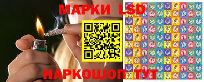 наркотики Кингисепп