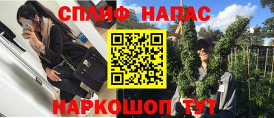 наркотики Кингисепп