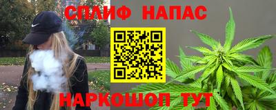 наркотики Кингисепп